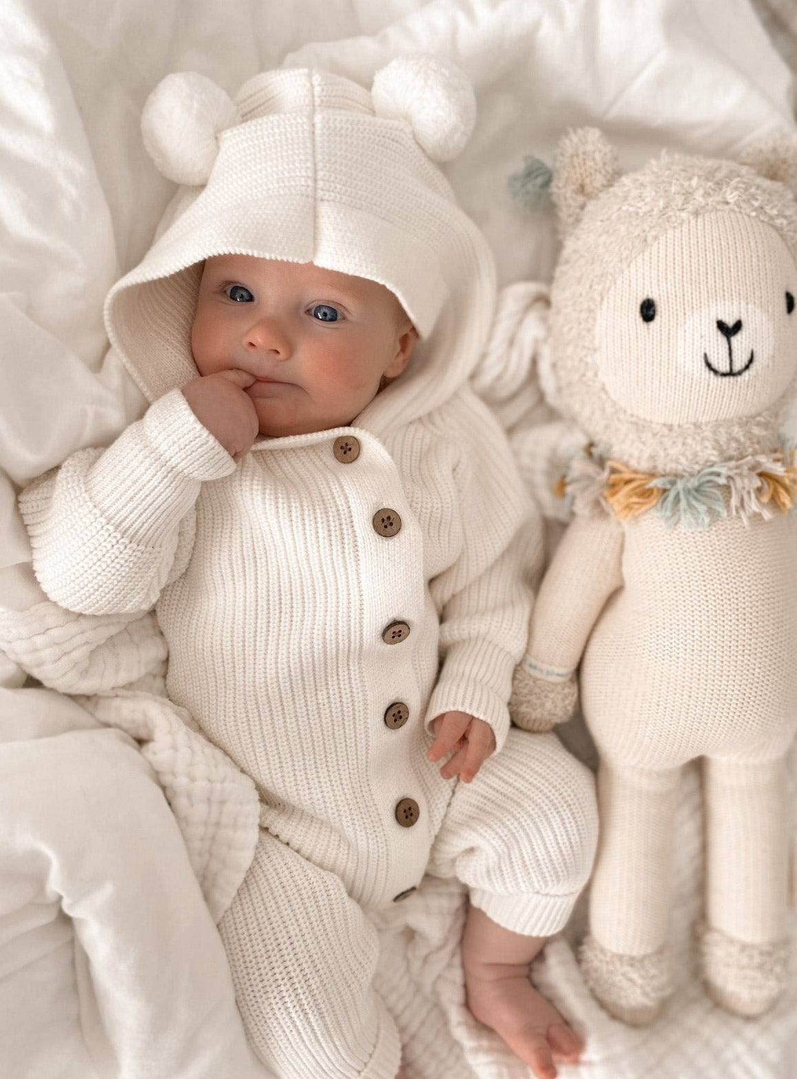Gathered Lamb