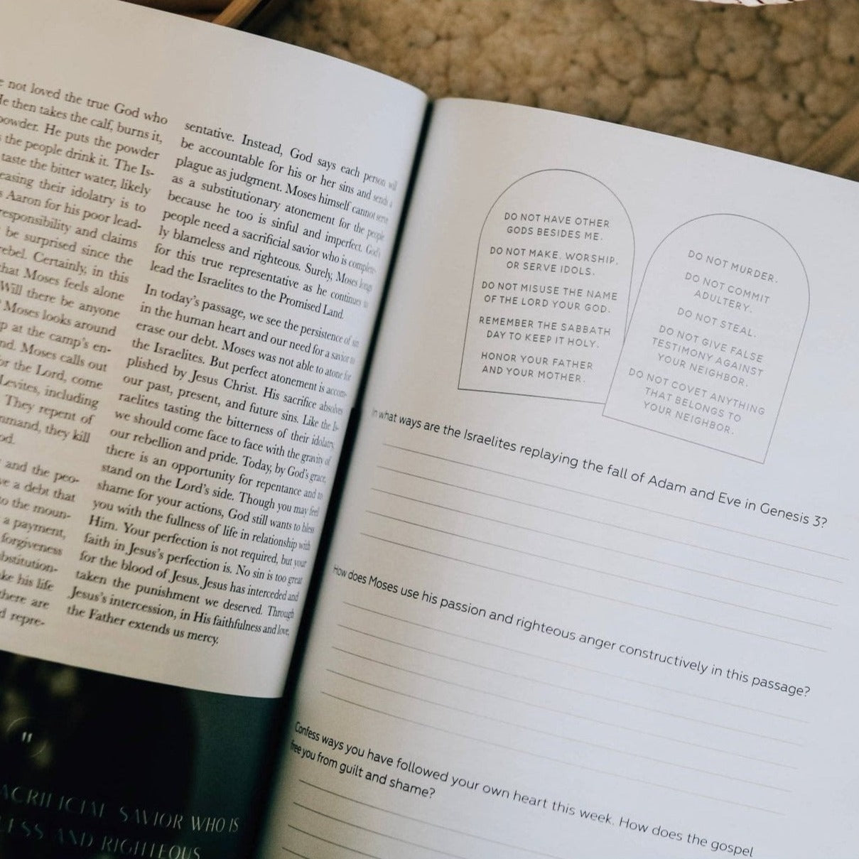 Journey to Freedom - The Life of Moses Study